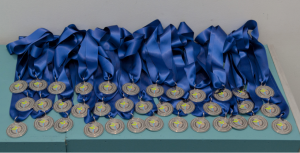 medallas al mérito profesional diario de mediación